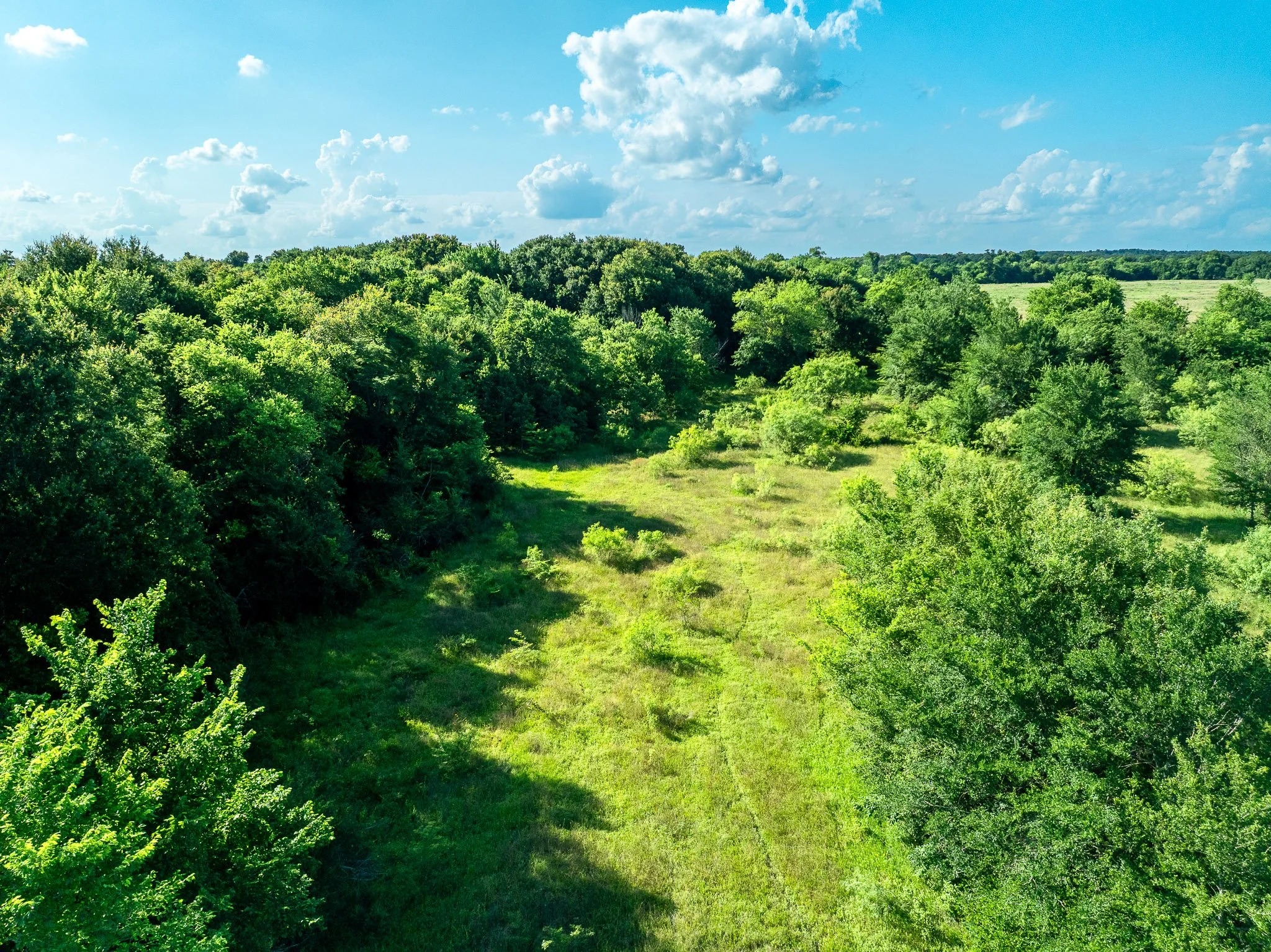 79.8 Acres in Madison County