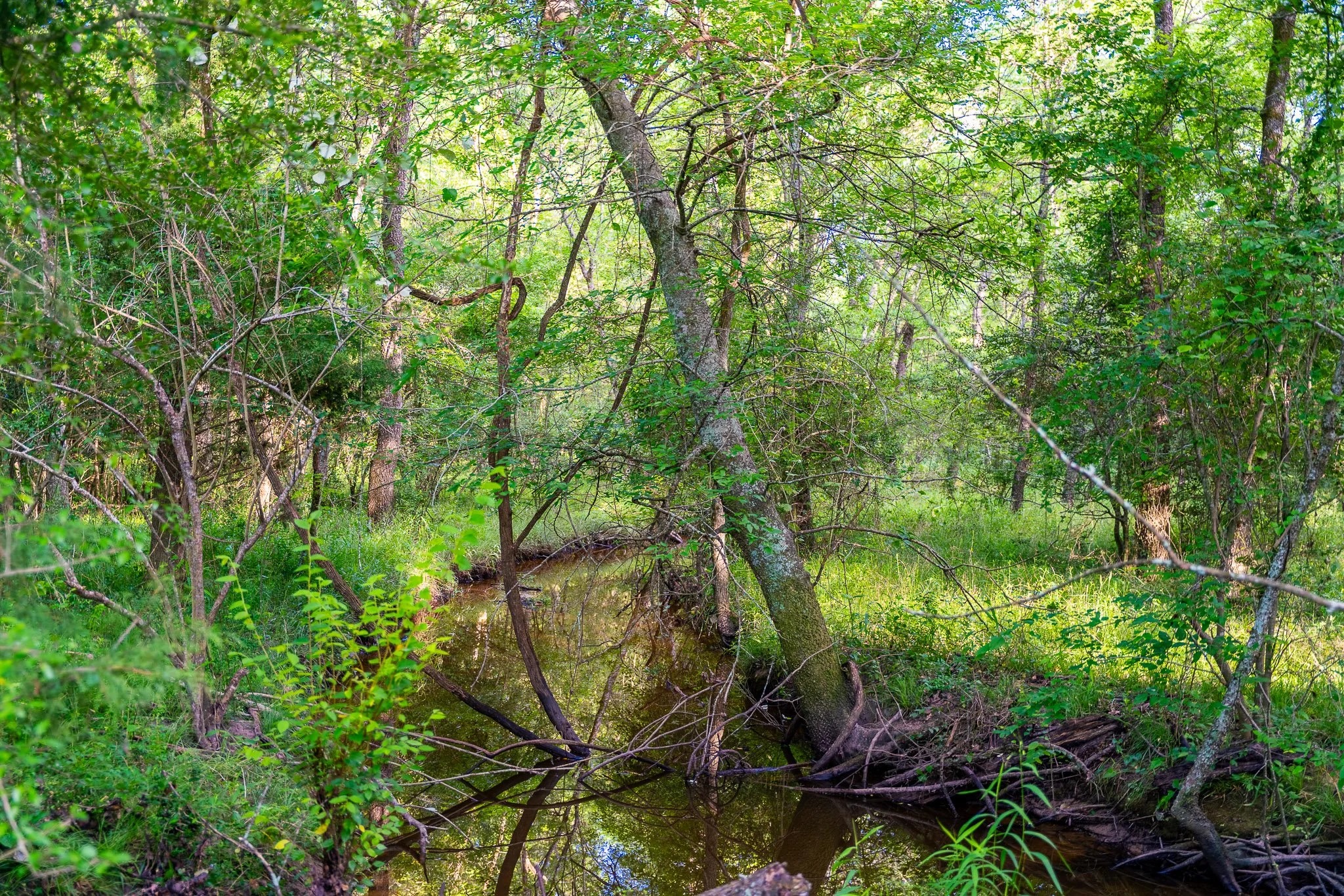 79.8 Acres in Madison County - Image 3