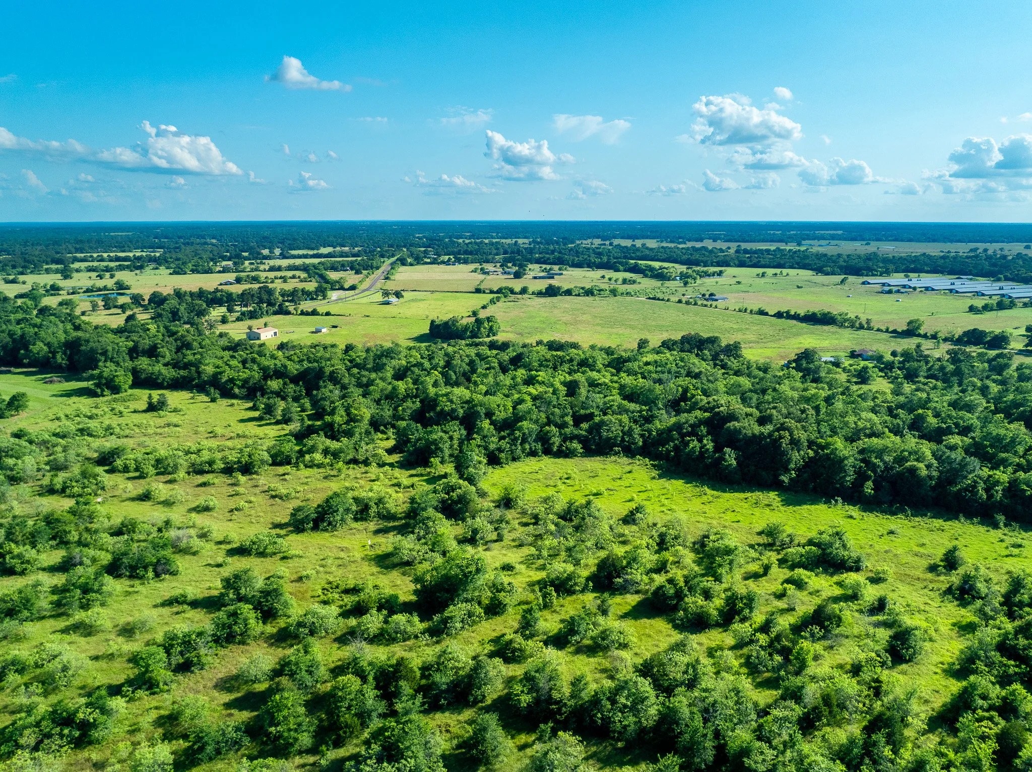 79.8 Acres in Madison County - Image 5