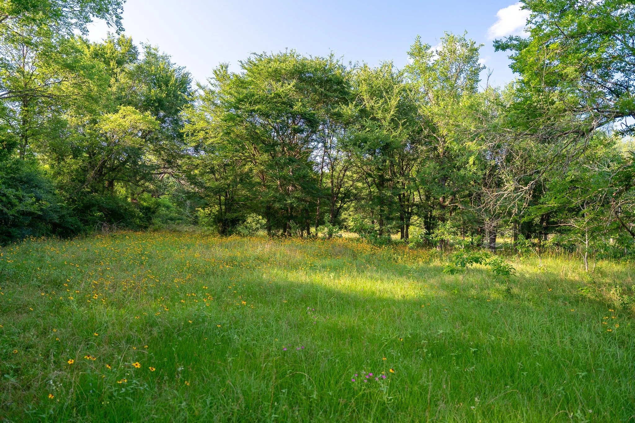 79.8 Acres in Madison County - Image 2