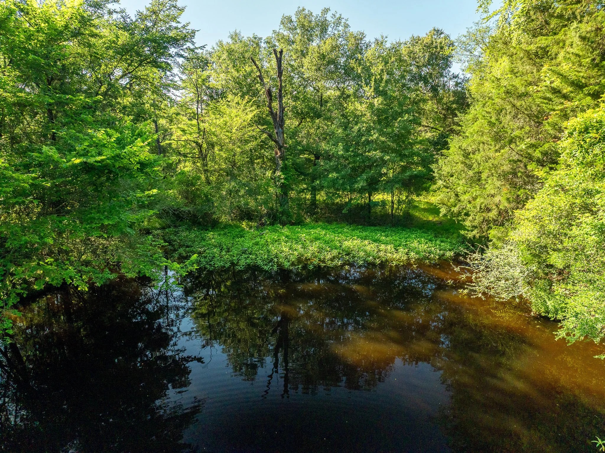 79.8 Acres in Madison County - Image 12