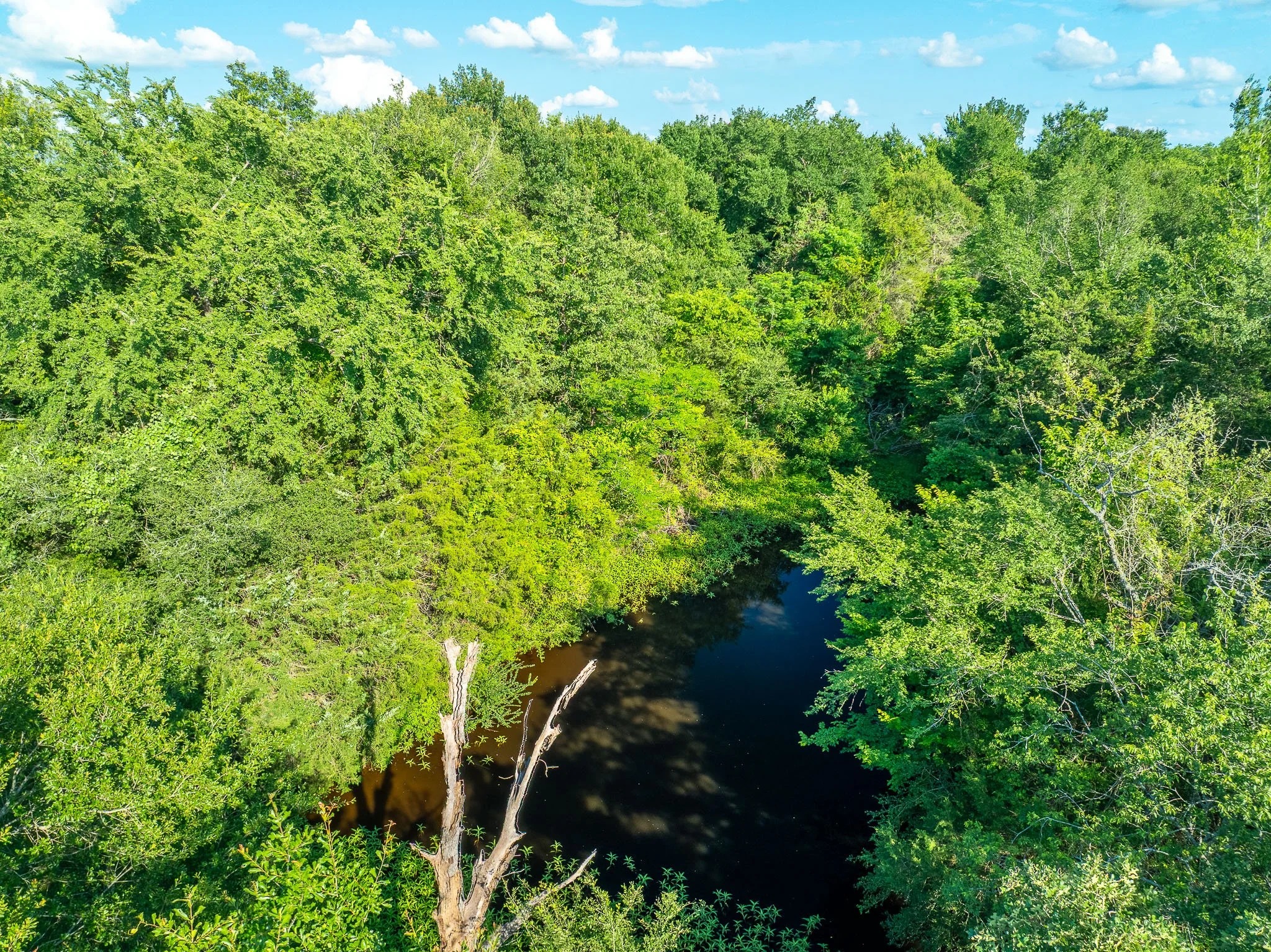 79.8 Acres in Madison County - Image 10
