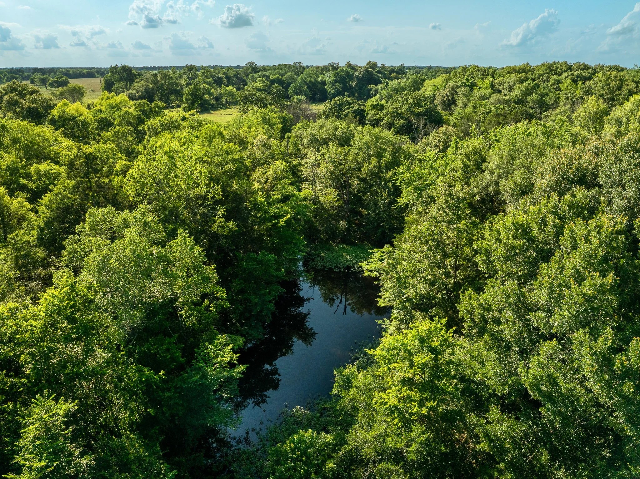 79.8 Acres in Madison County - Image 13