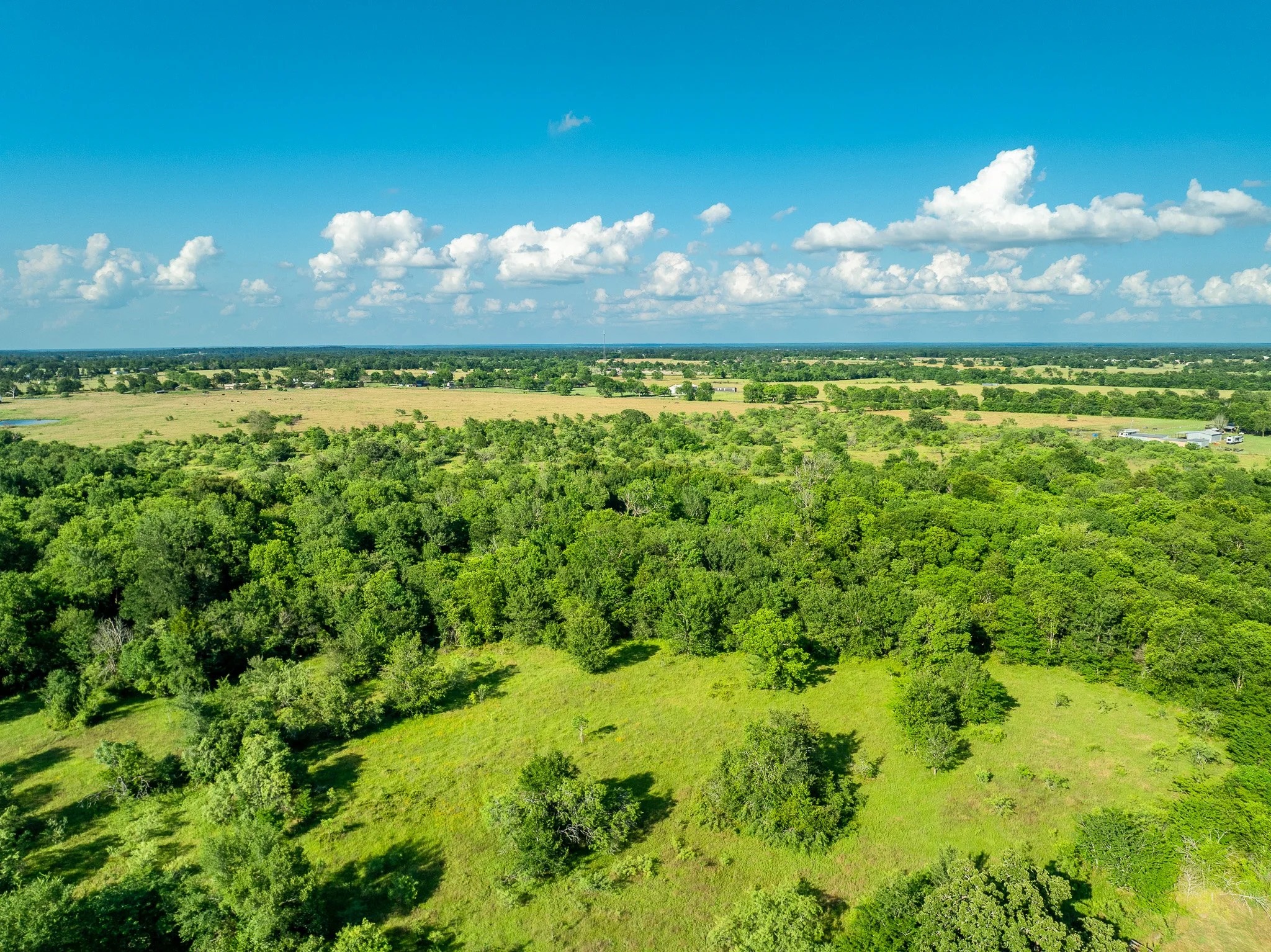 79.8 Acres in Madison County - Image 8