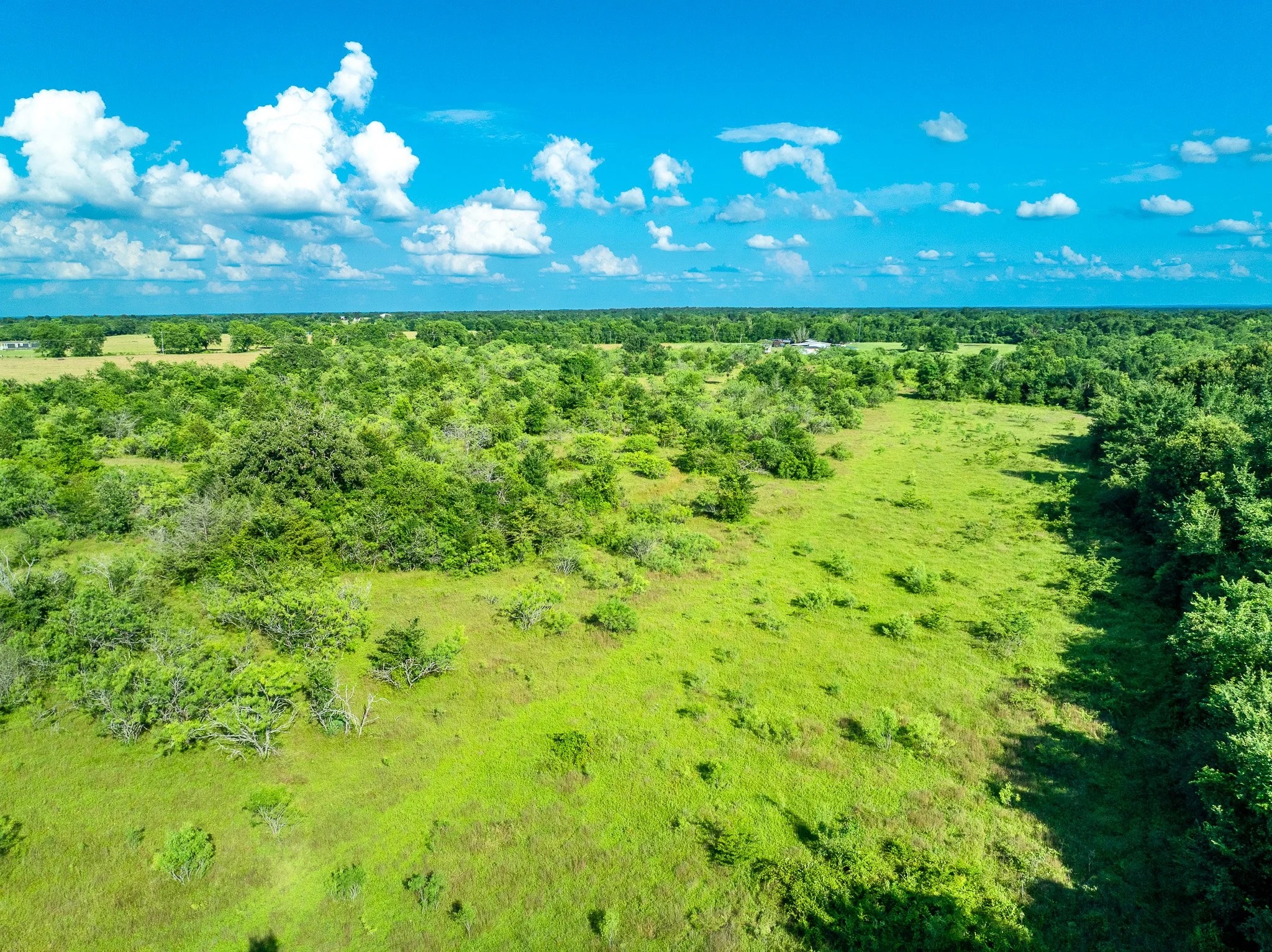 79.8 Acres in Madison County - Image 11