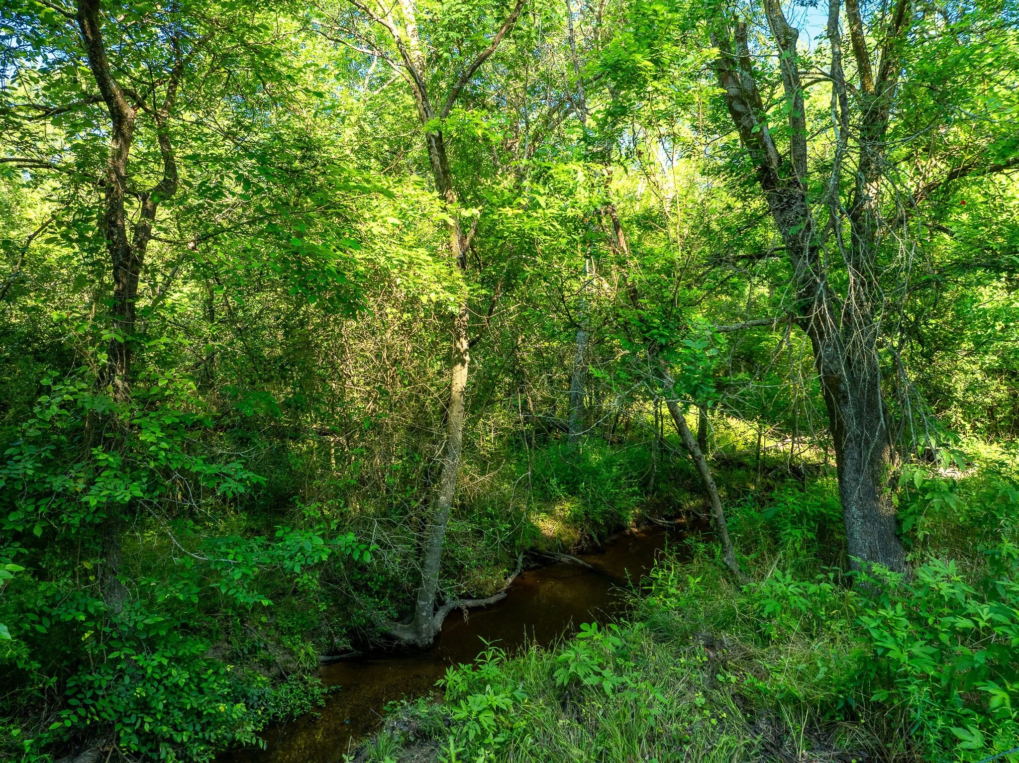 79.8 Acres in Madison County - Image 16
