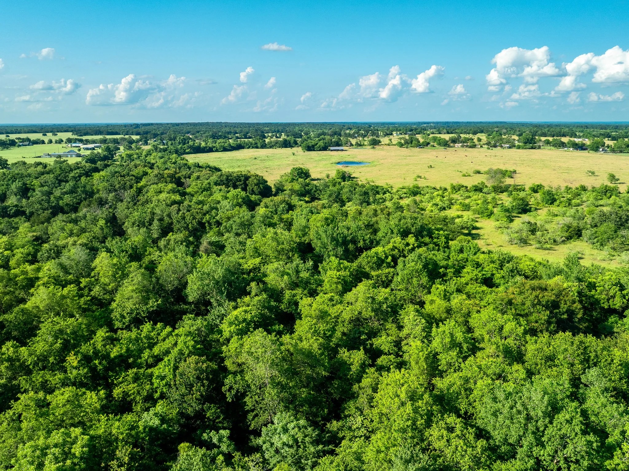 79.8 Acres in Madison County - Image 14