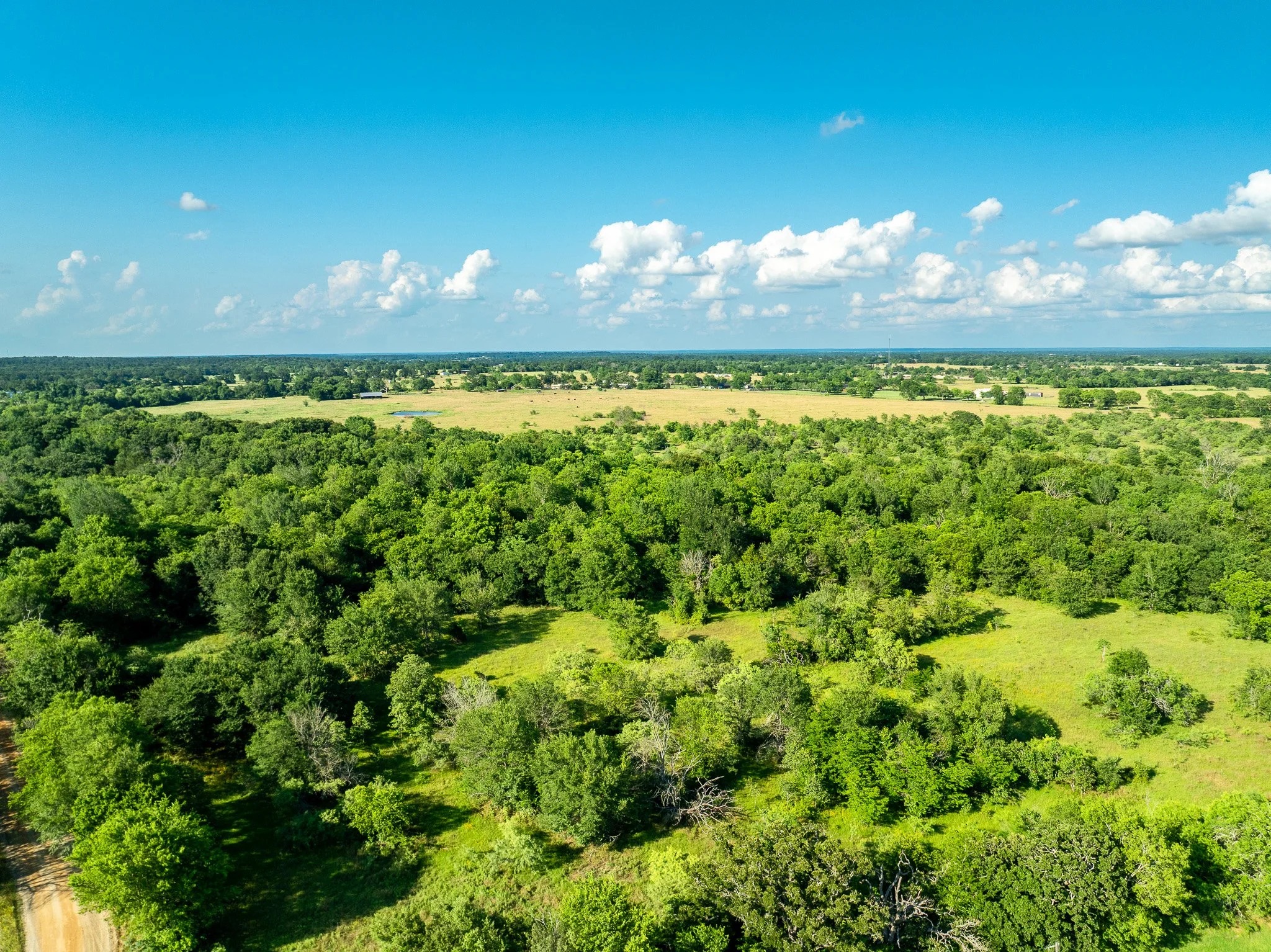 79.8 Acres in Madison County - Image 18