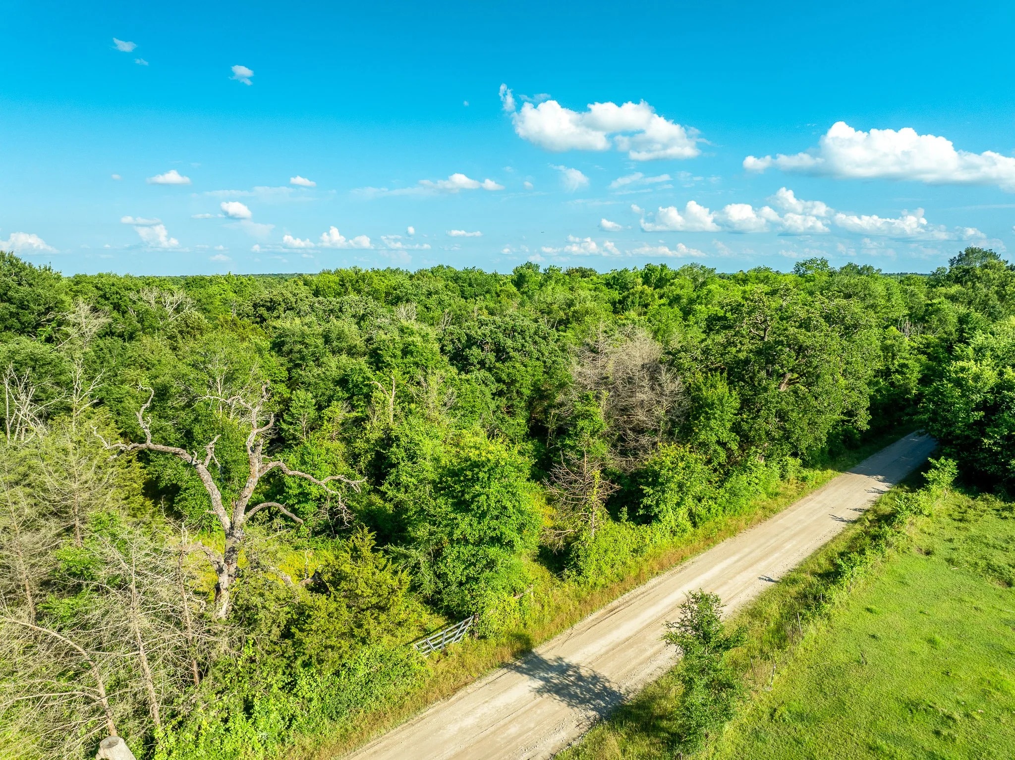 79.8 Acres in Madison County - Image 19