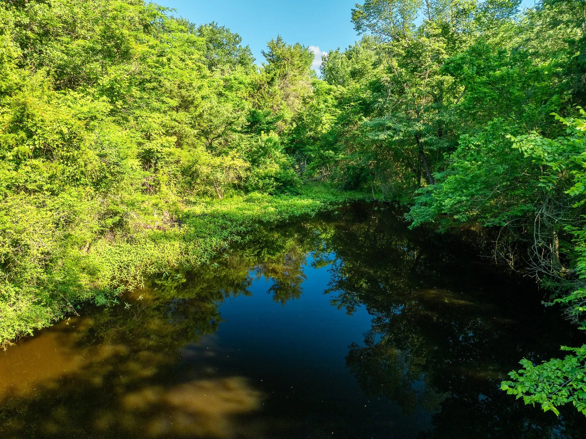 79.8 Acres in Madison County - Image 17