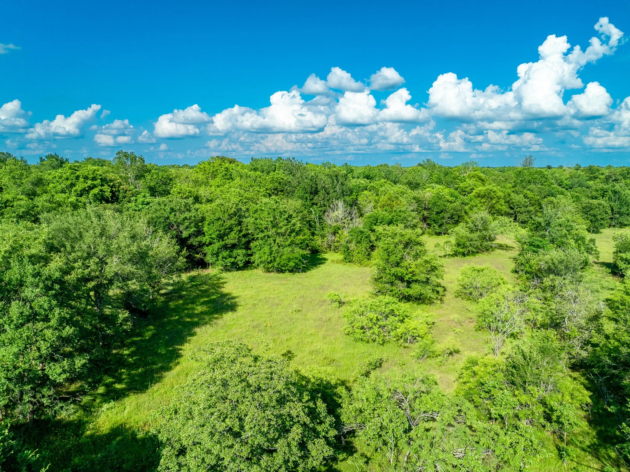 79.8 Acres in Madison County - Image 20