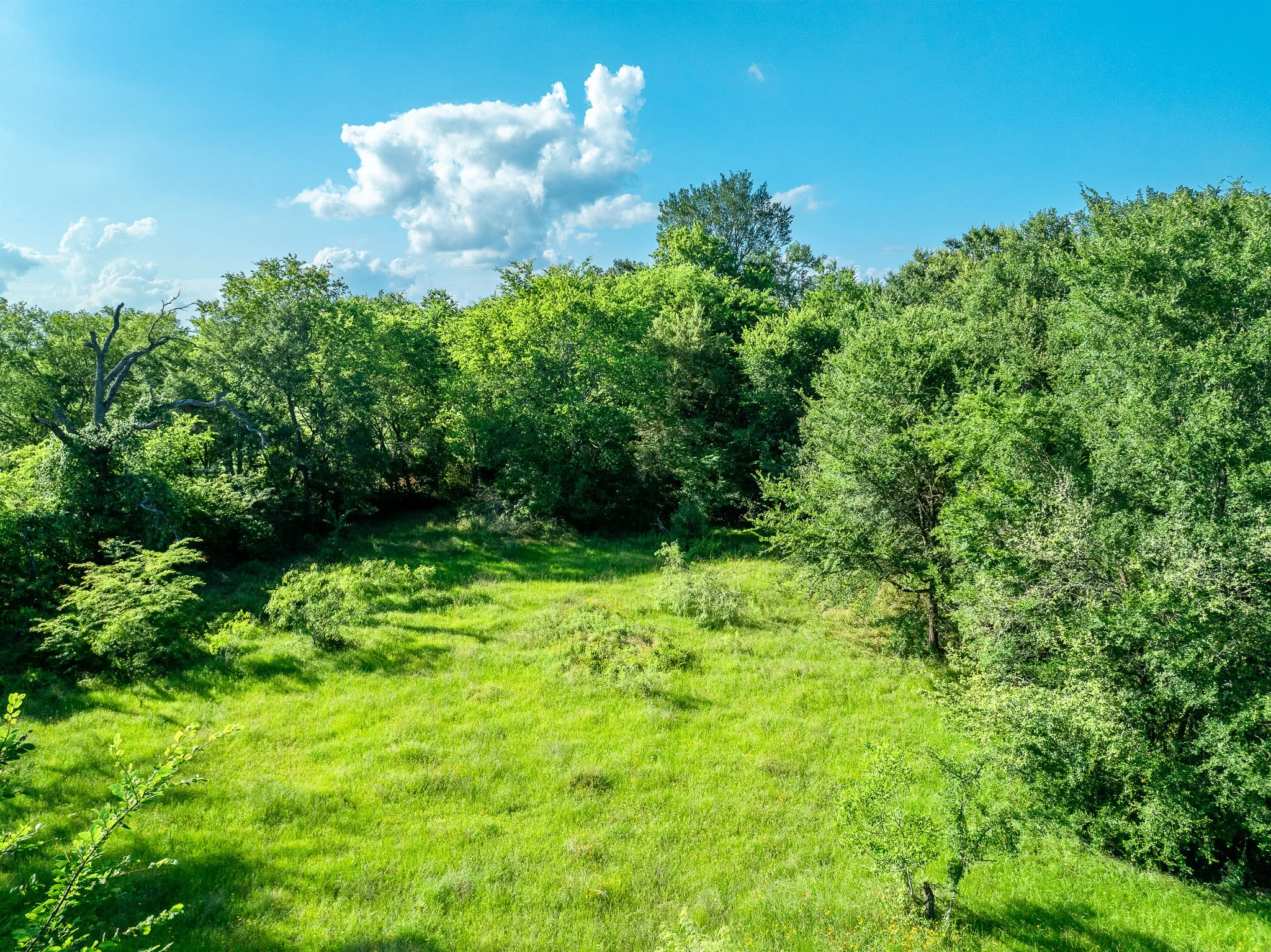 79.8 Acres in Madison County - Image 23