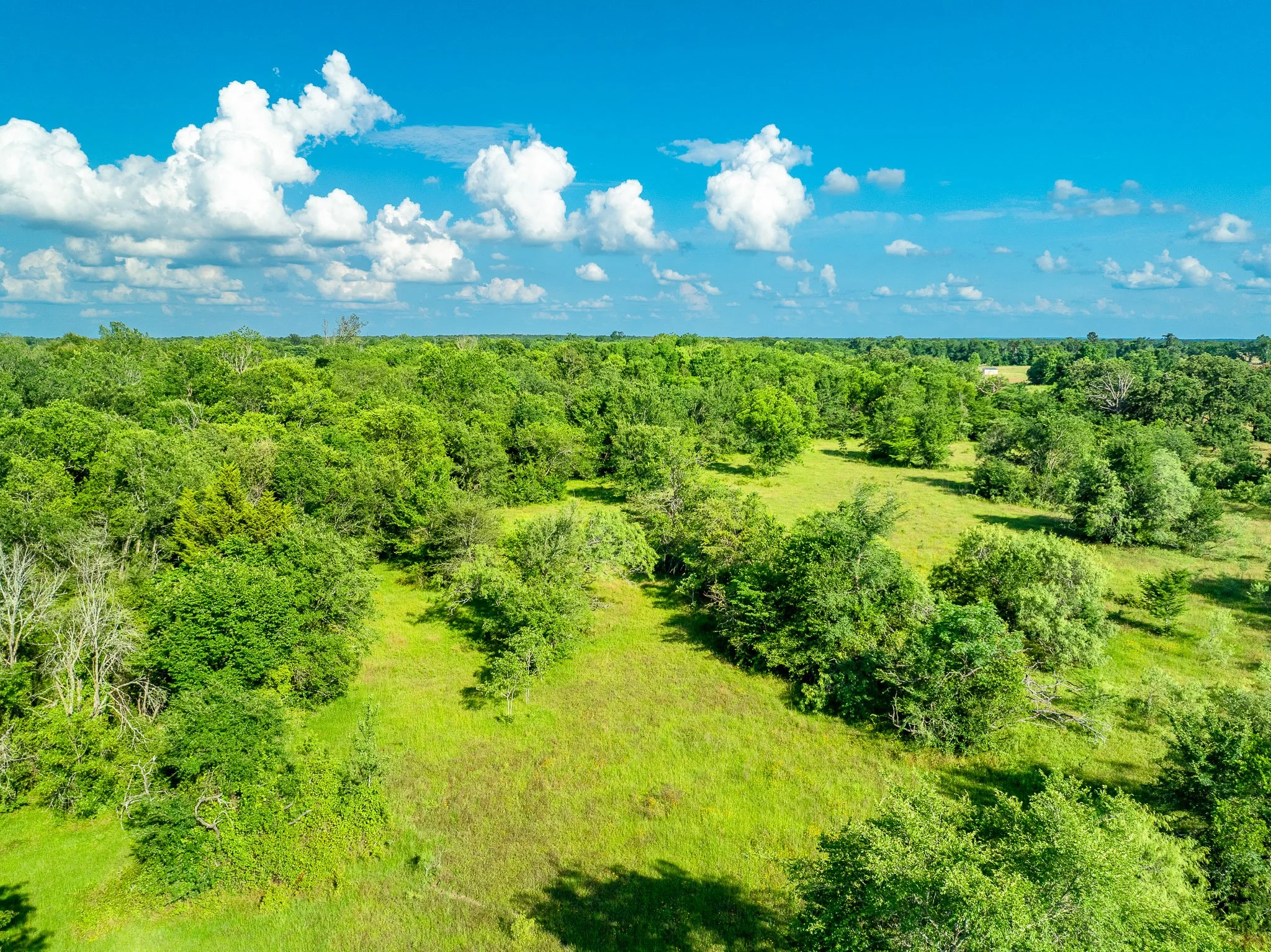 79.8 Acres in Madison County - Image 21
