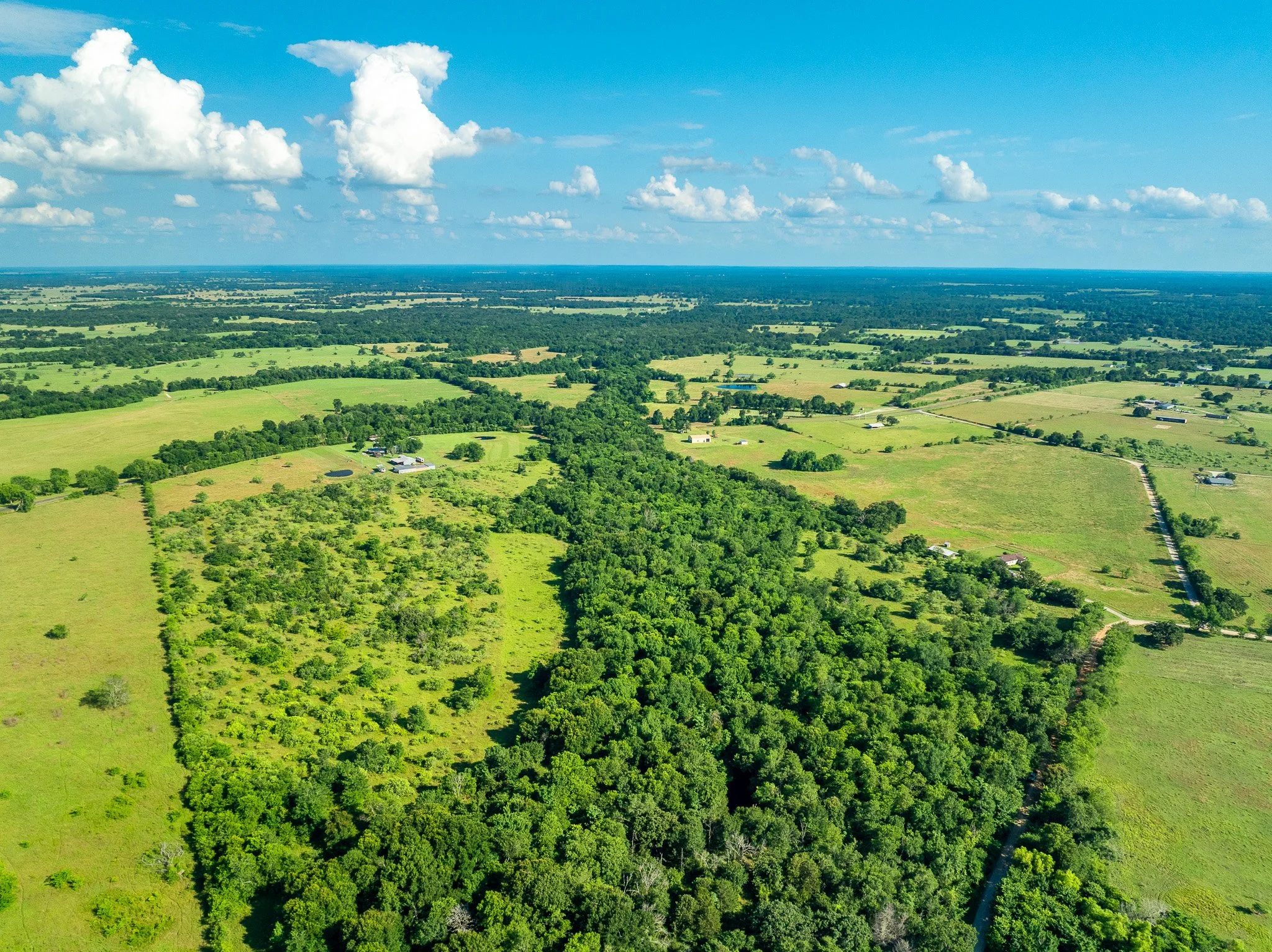 79.8 Acres in Madison County - Image 24