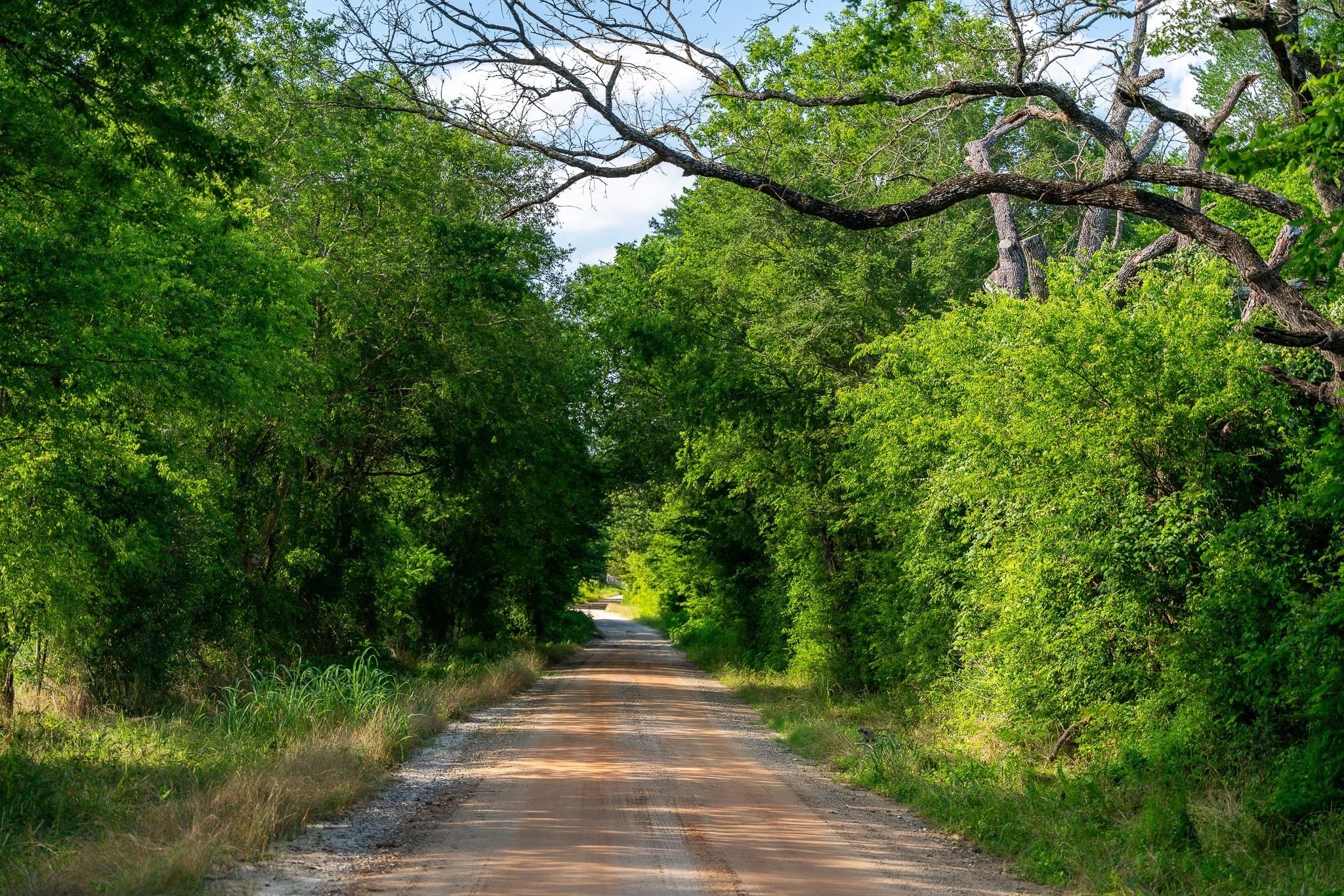 79.8 Acres in Madison County - Image 7