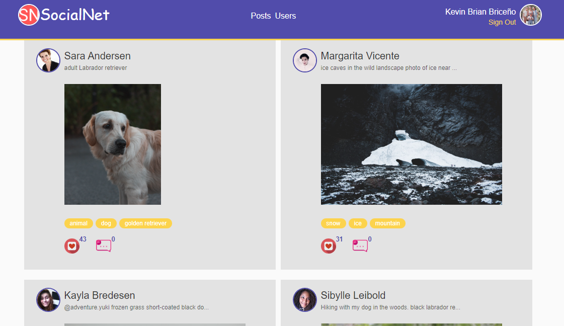 GitHub - 7-18/social-network: Social network using the Dummy API