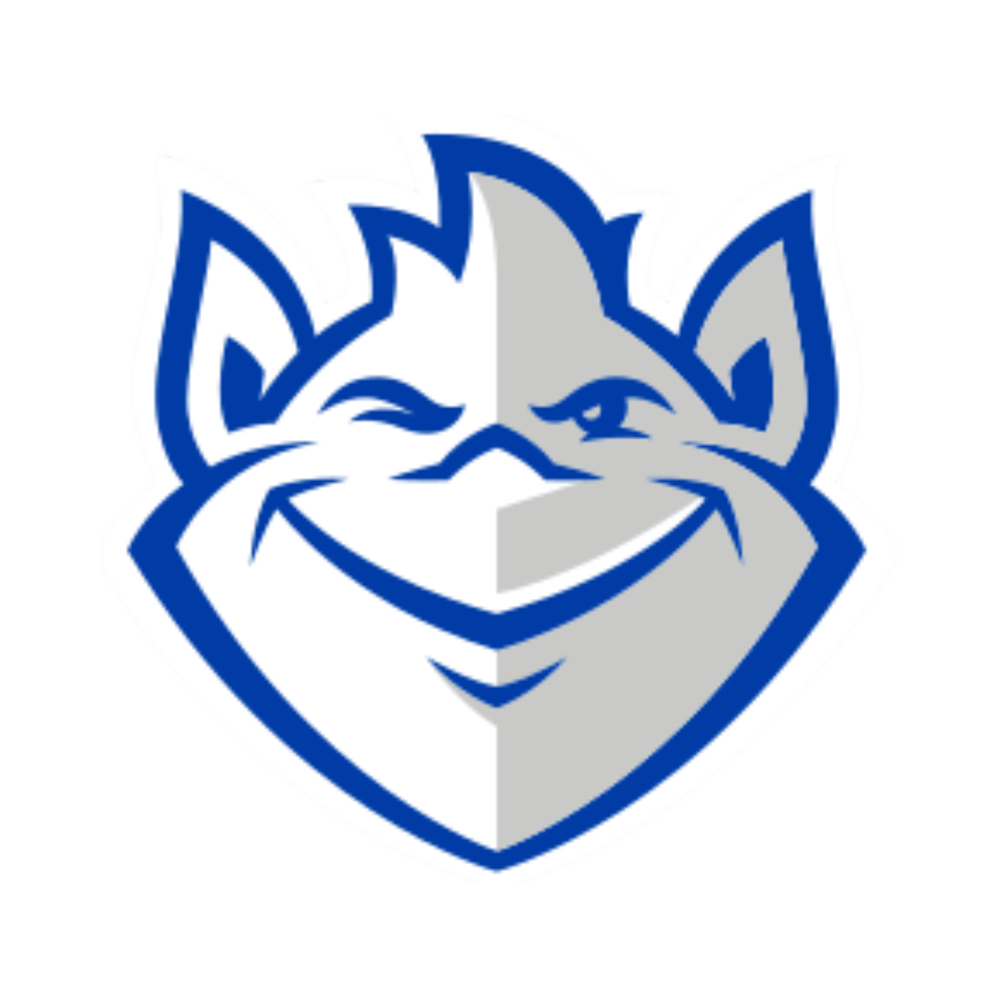 Saint Louis Billikens
