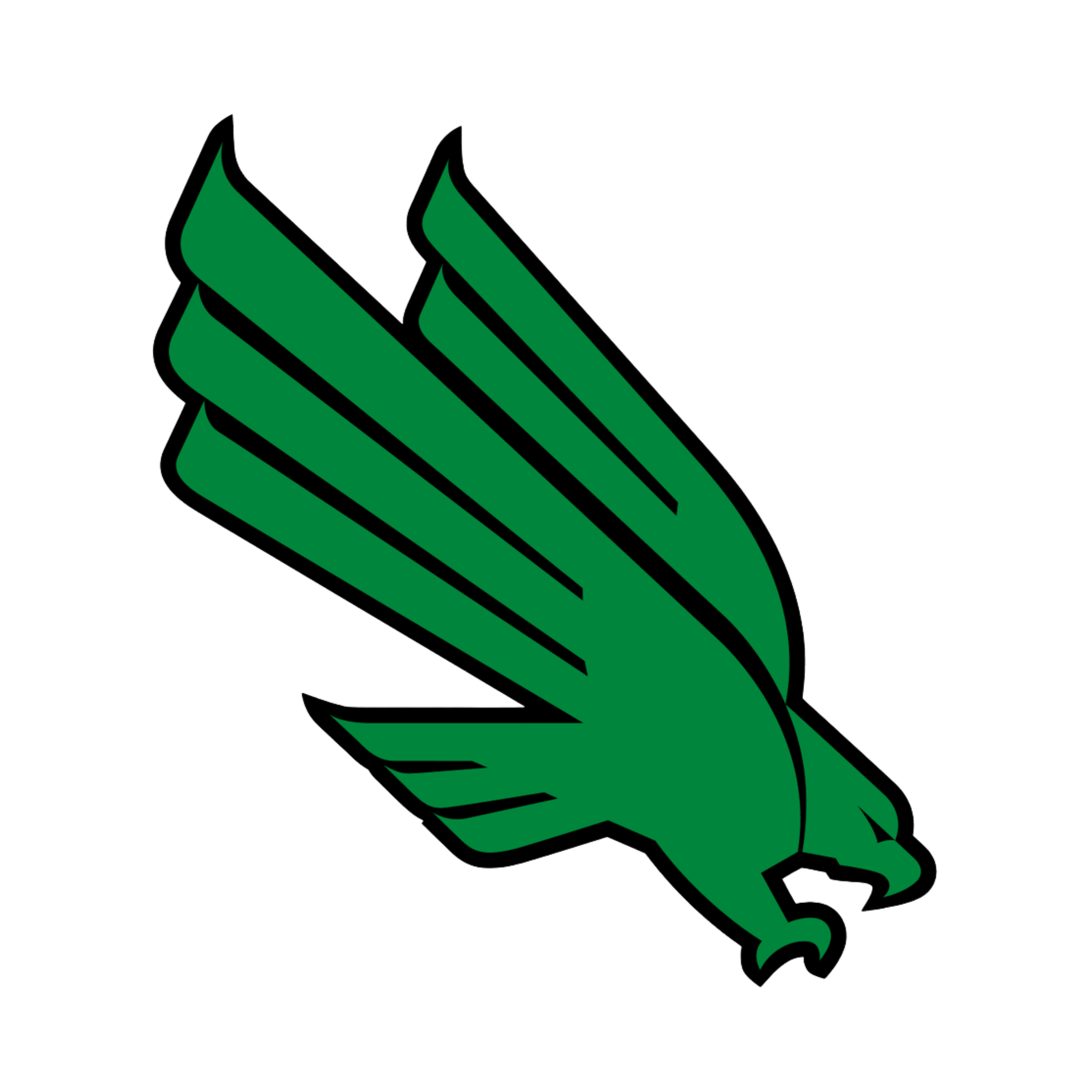 North Texas University