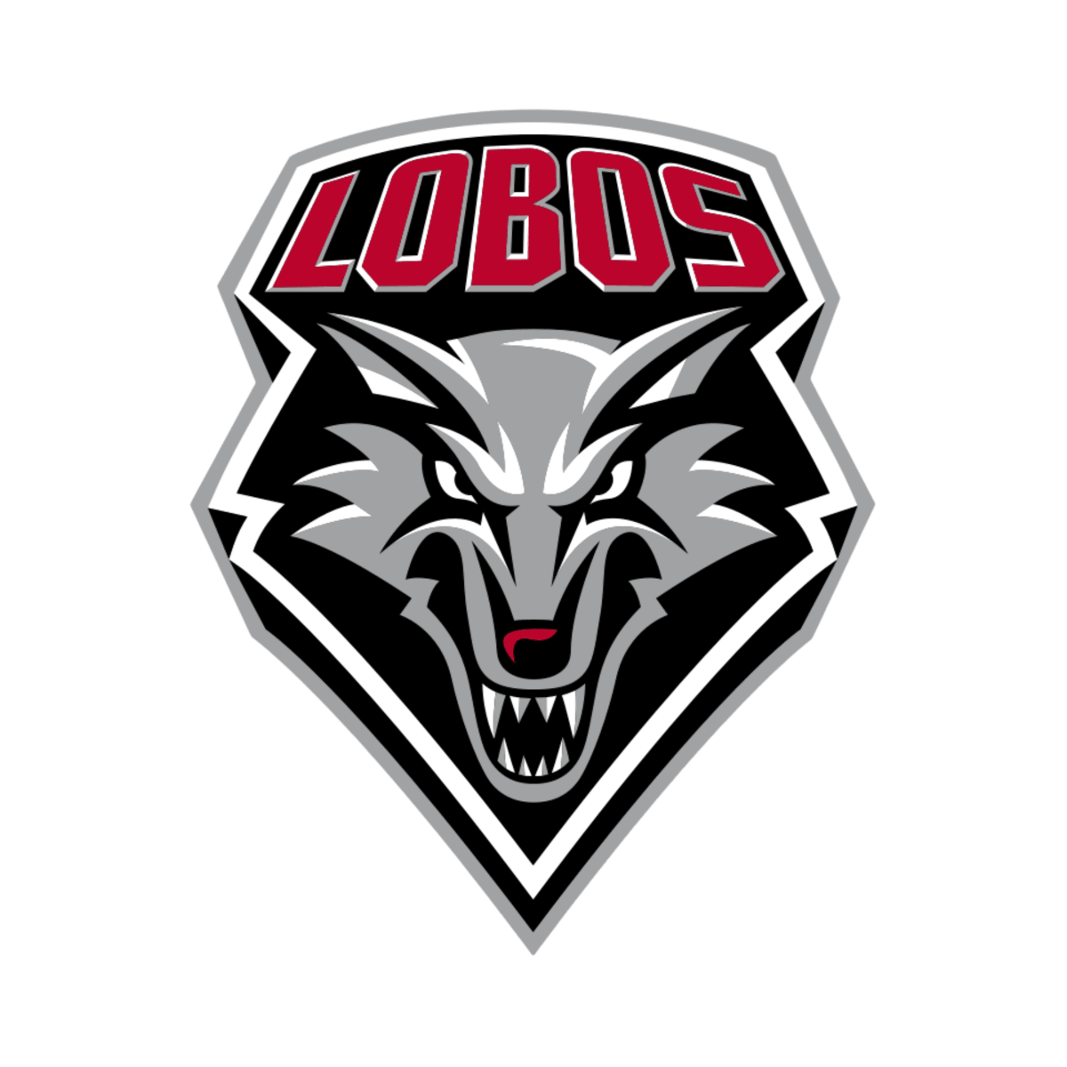 University of New Mexico