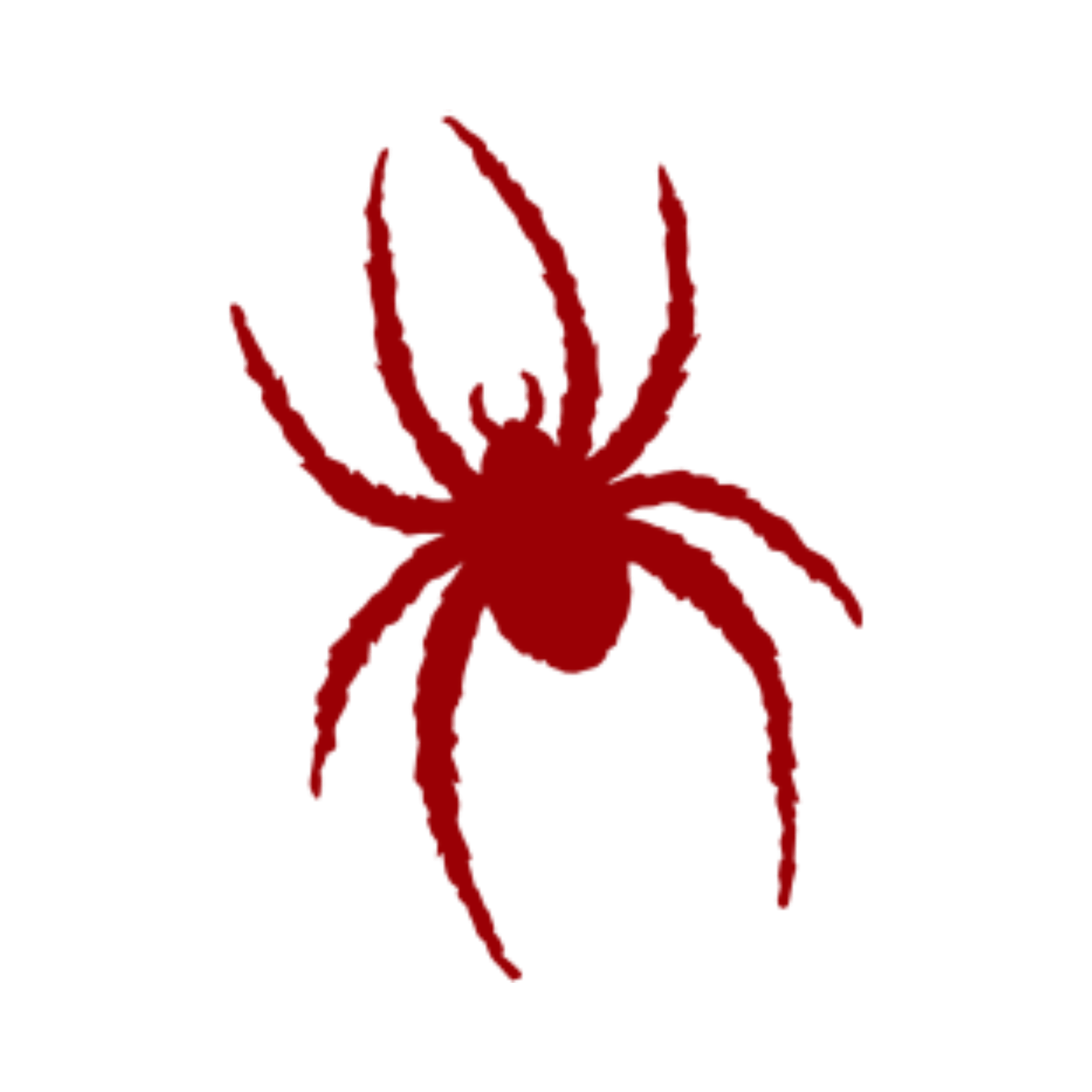 Richmond Spiders