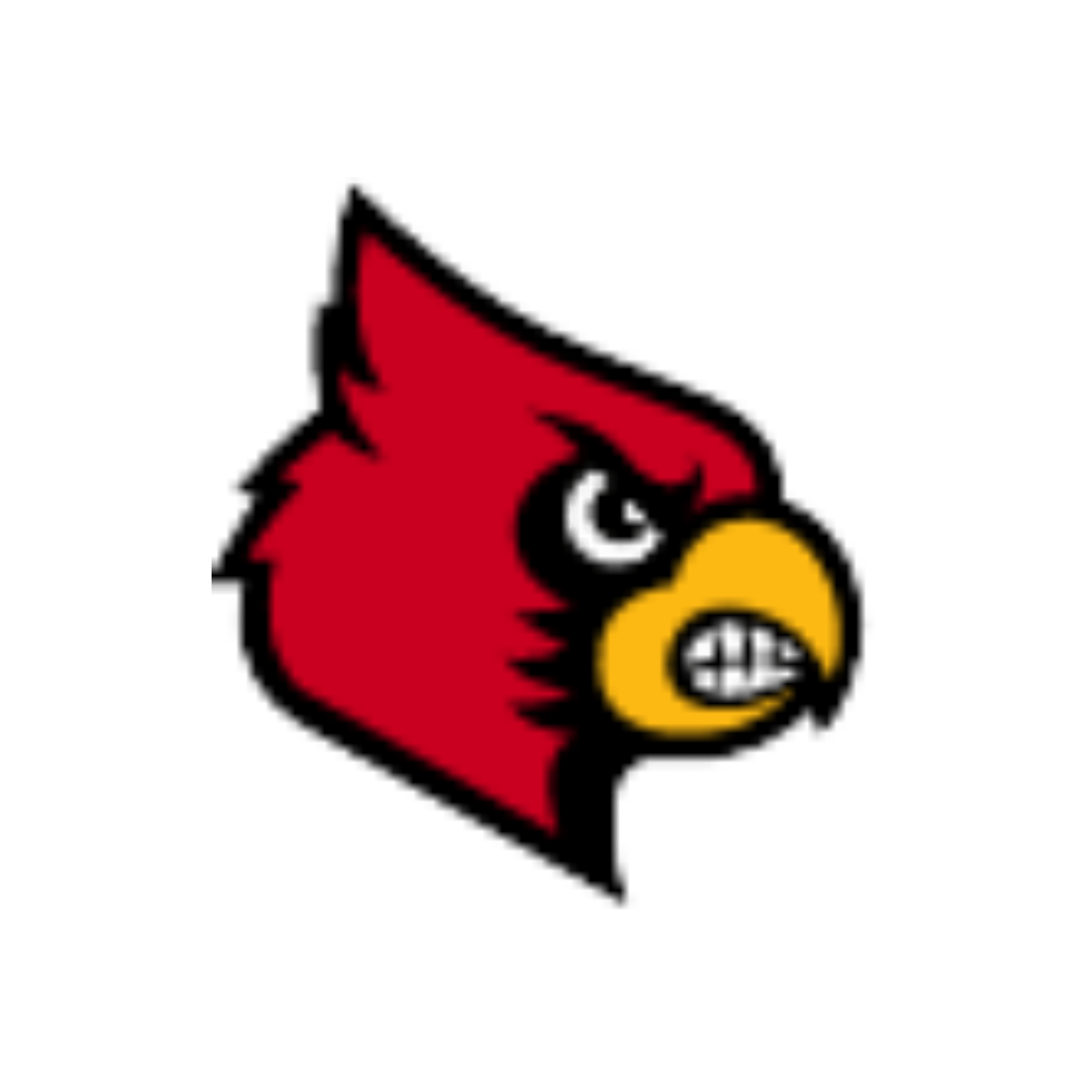 Louisville Cardinals