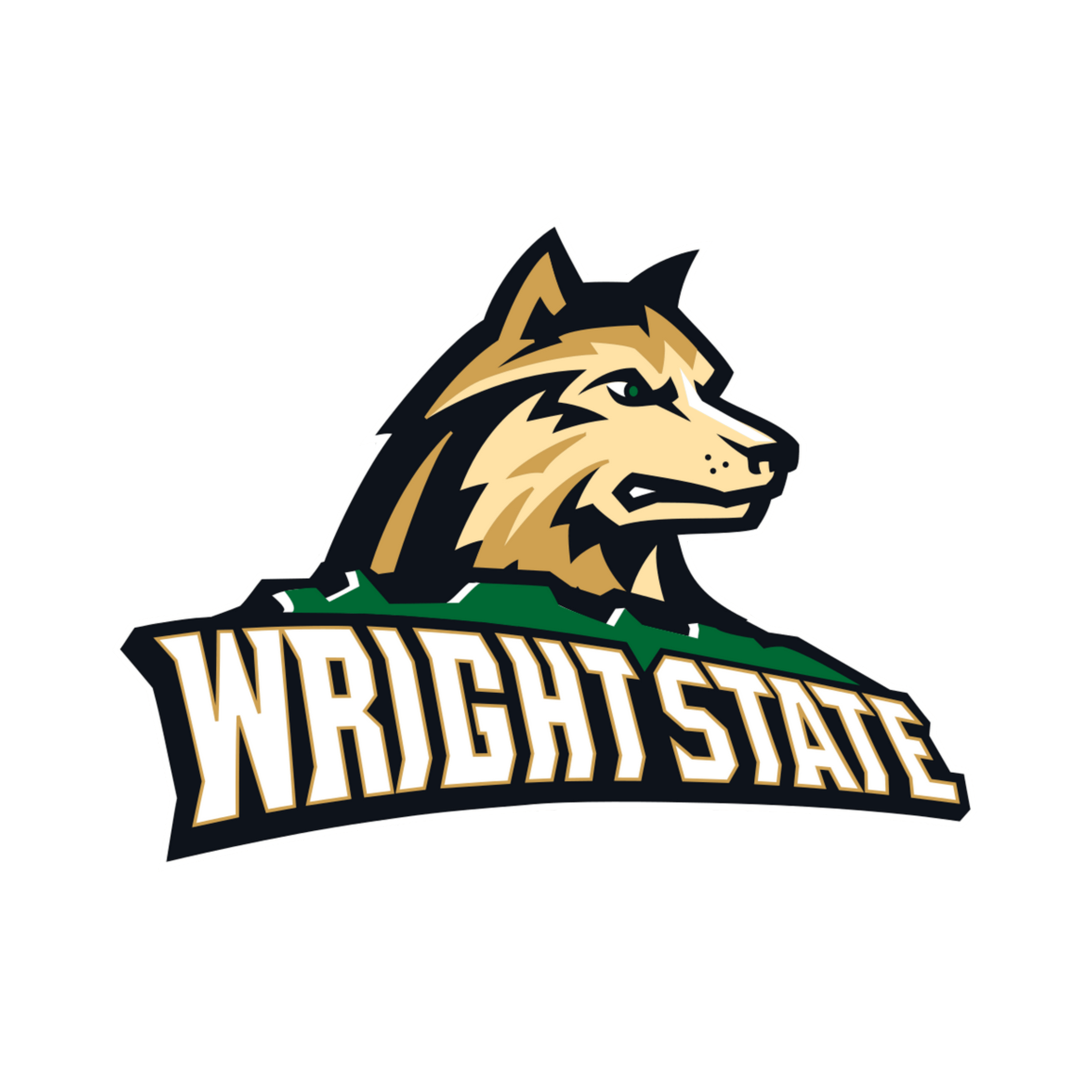 Wright State Raiders
