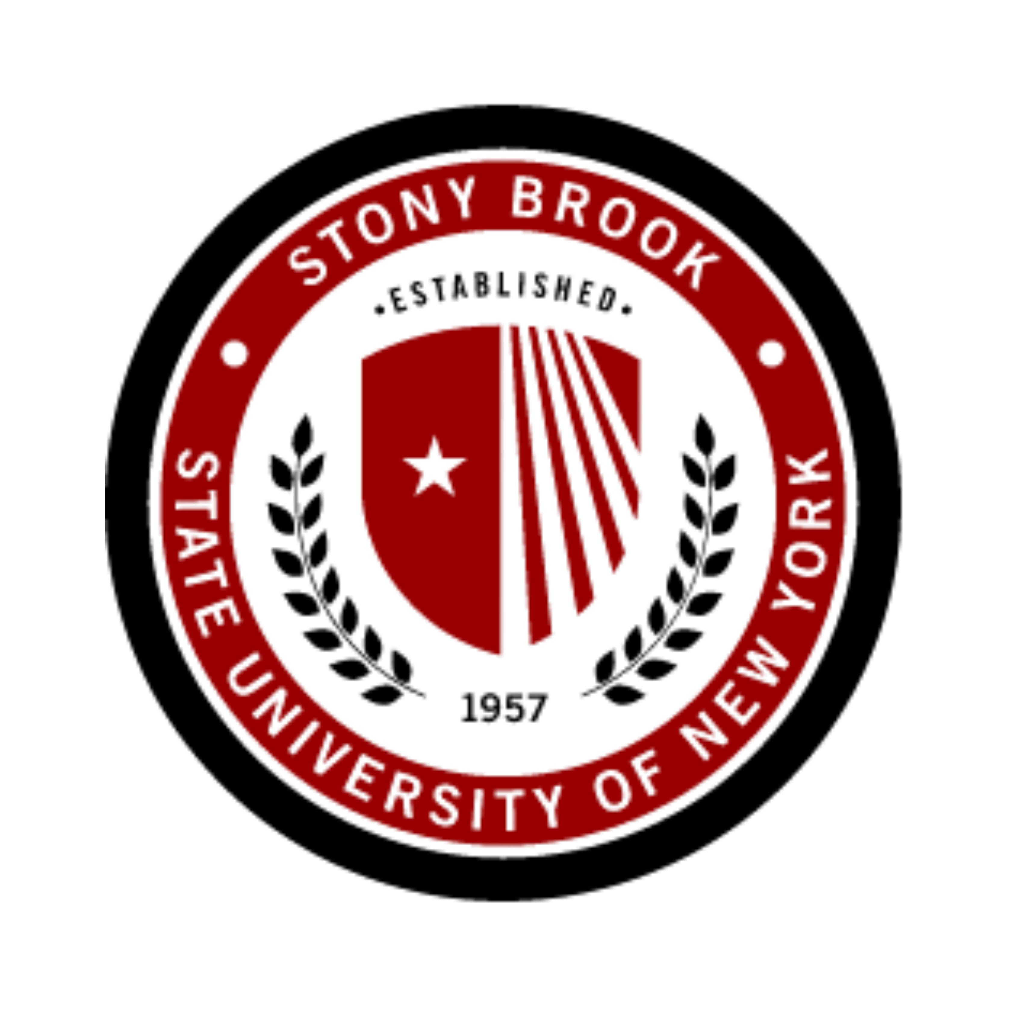 Stony Brook University