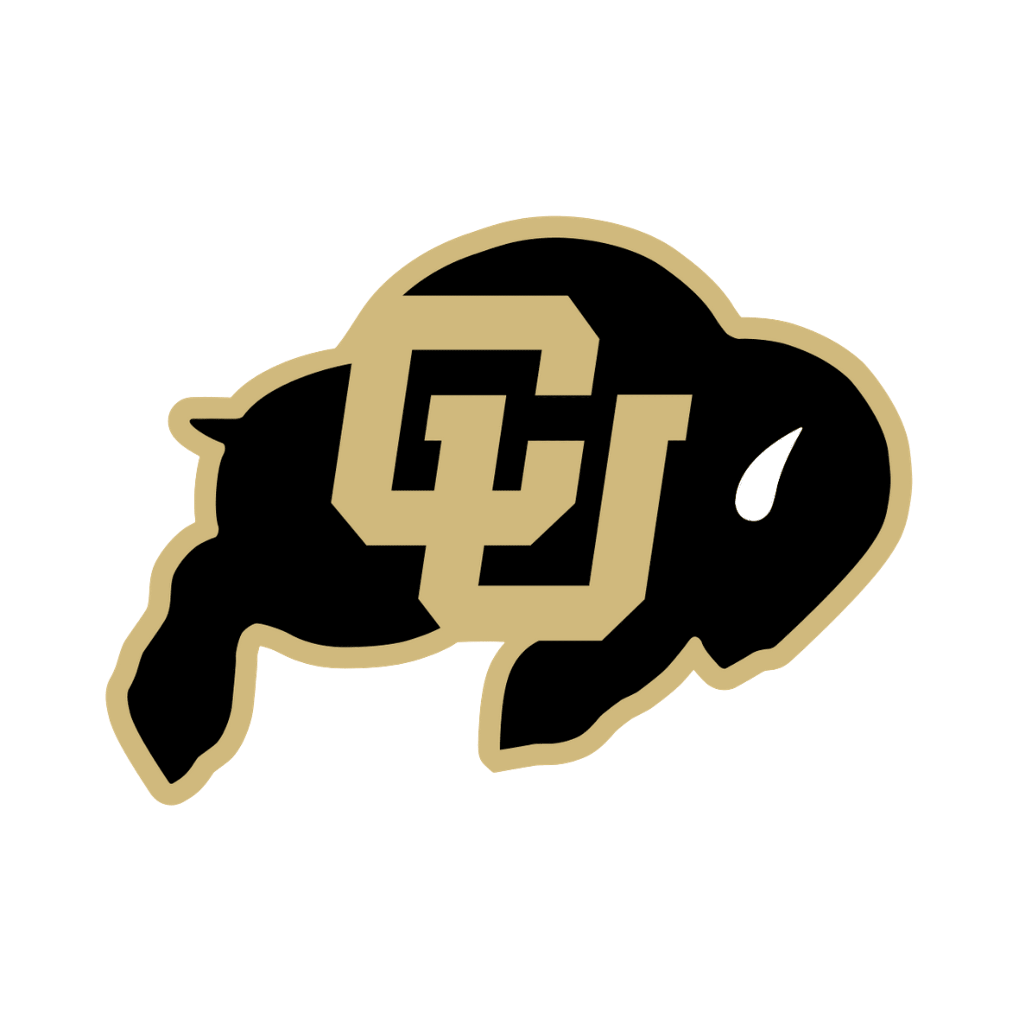 Colorado Buffaloes
