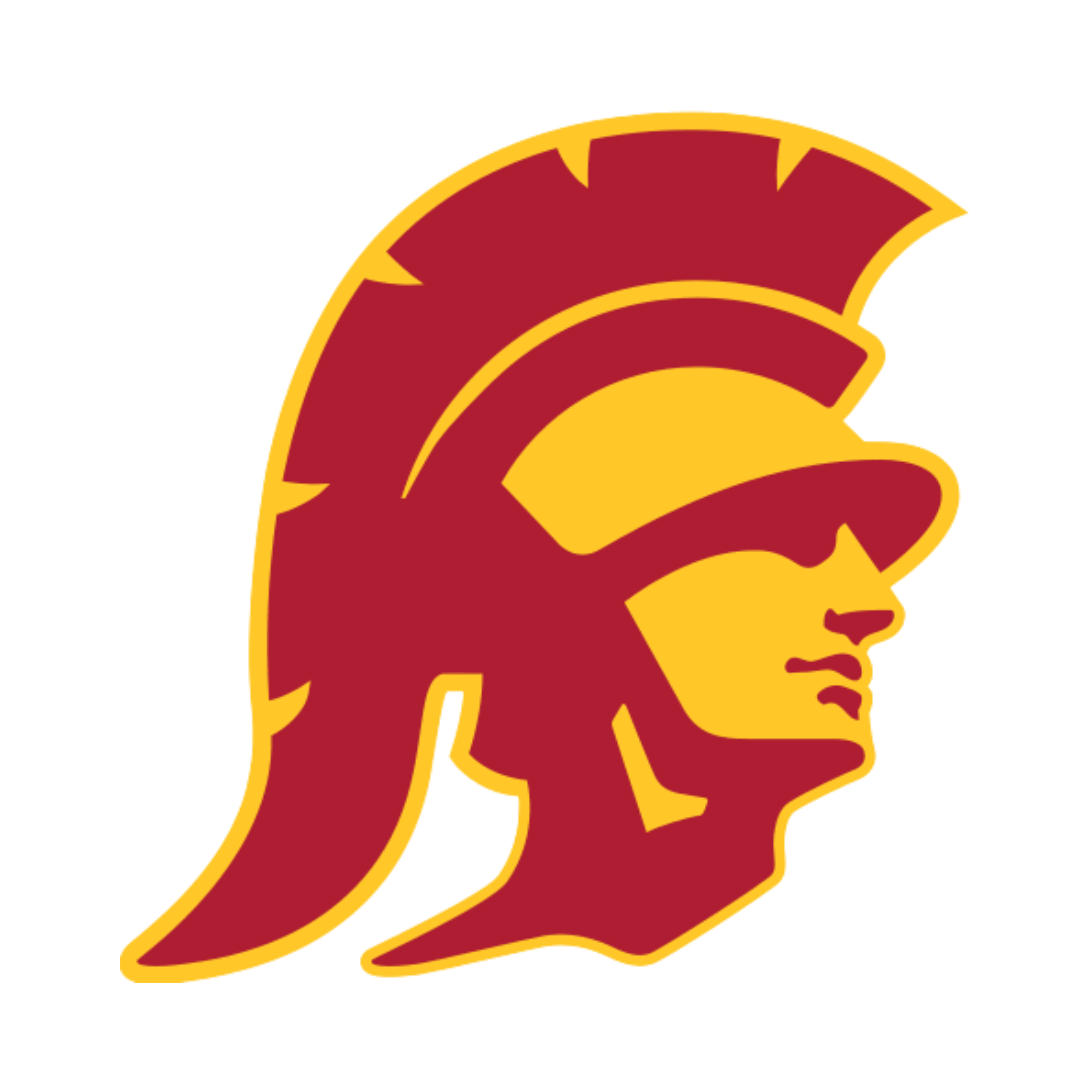 USC Trojans