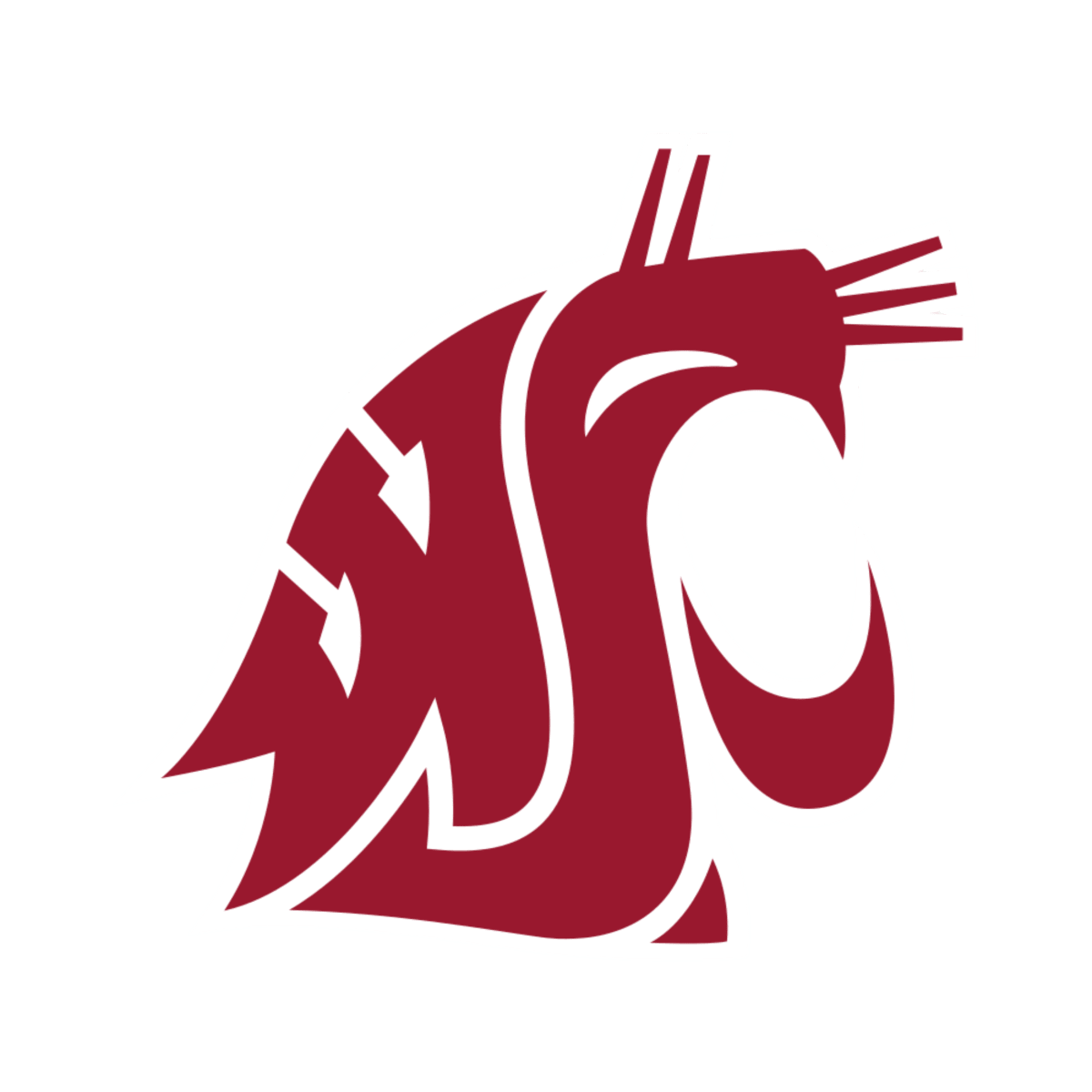 Washington State University