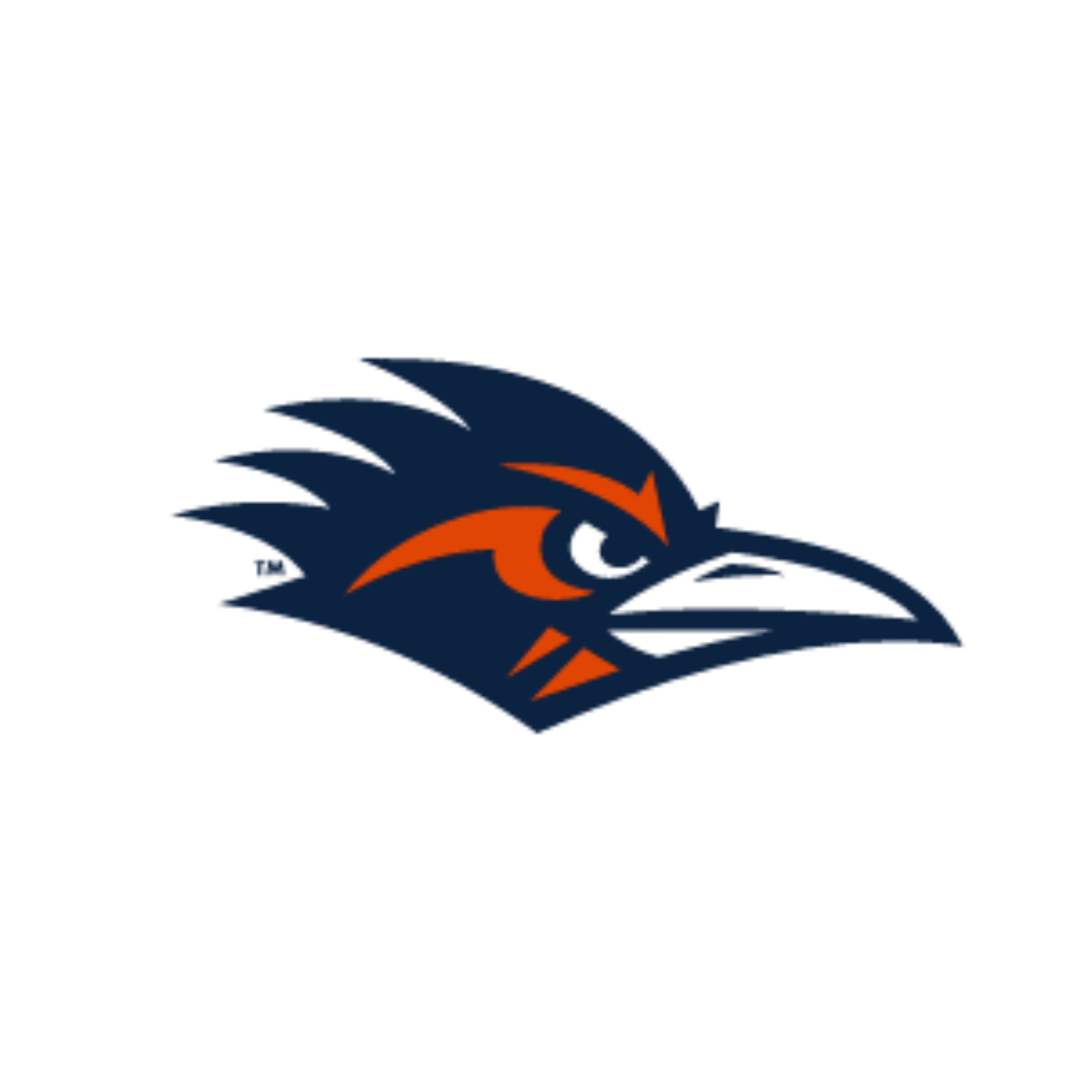 UTSA Roadrunners