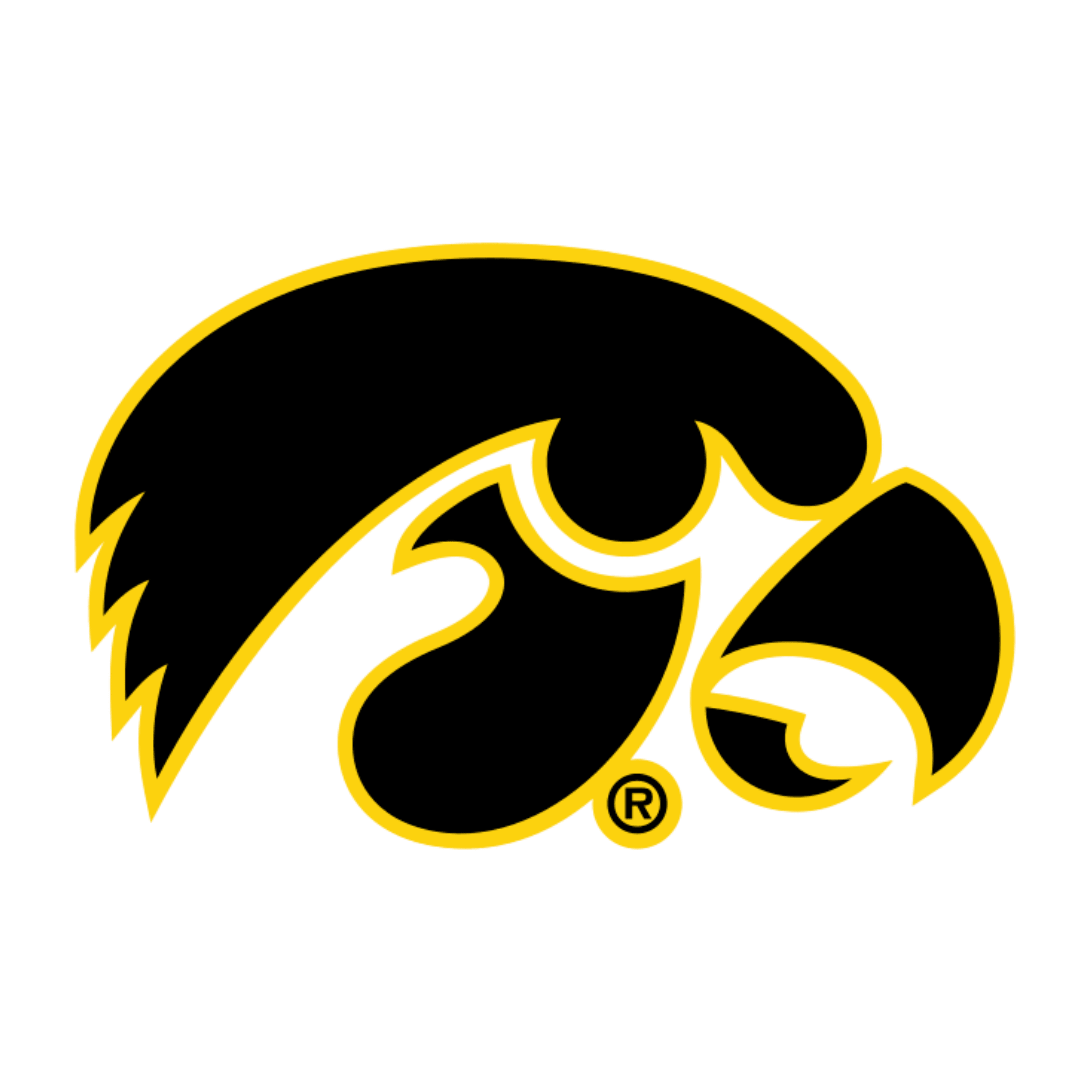 Iowa Hawkeyes