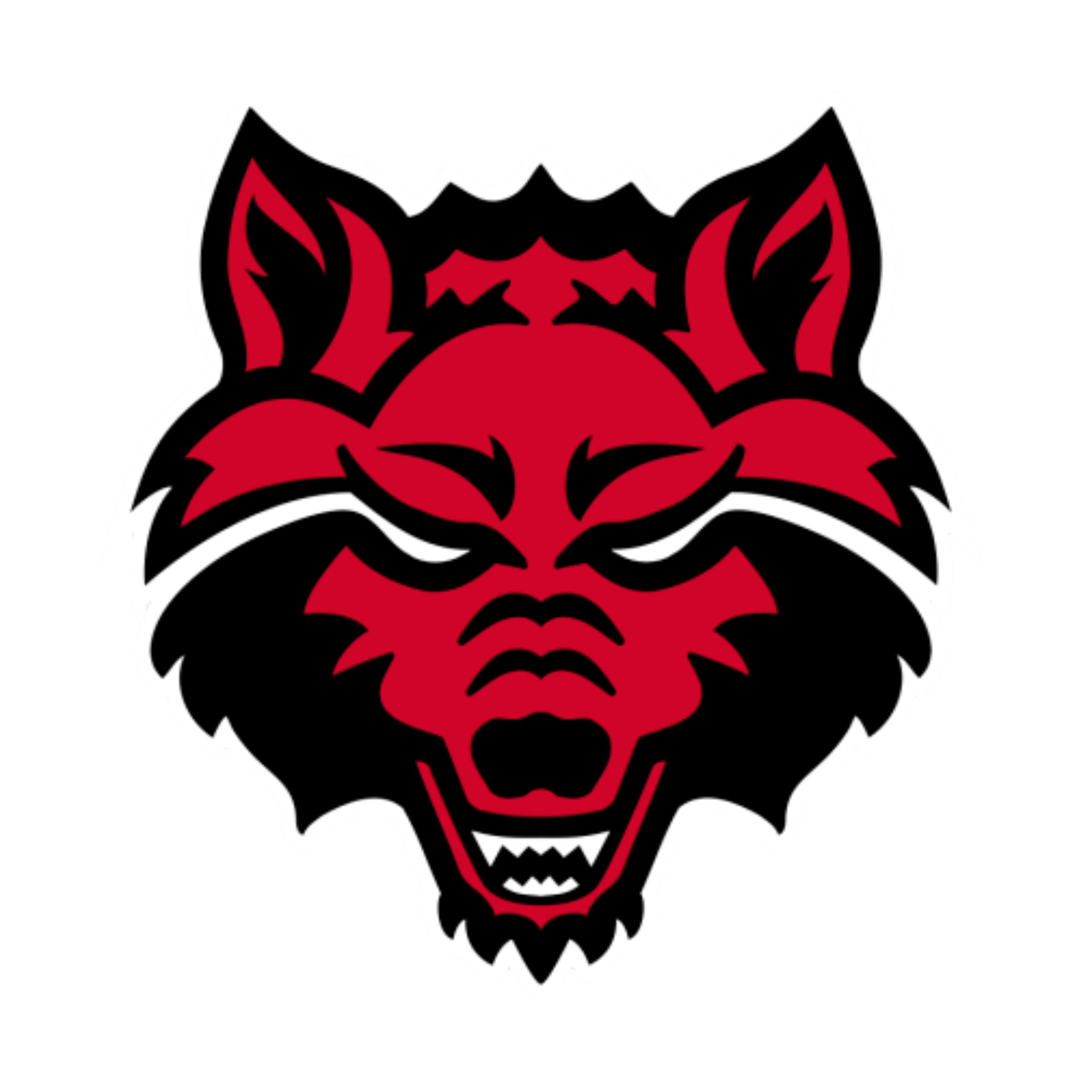 Arkansas State University