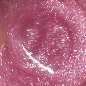 asmr gif