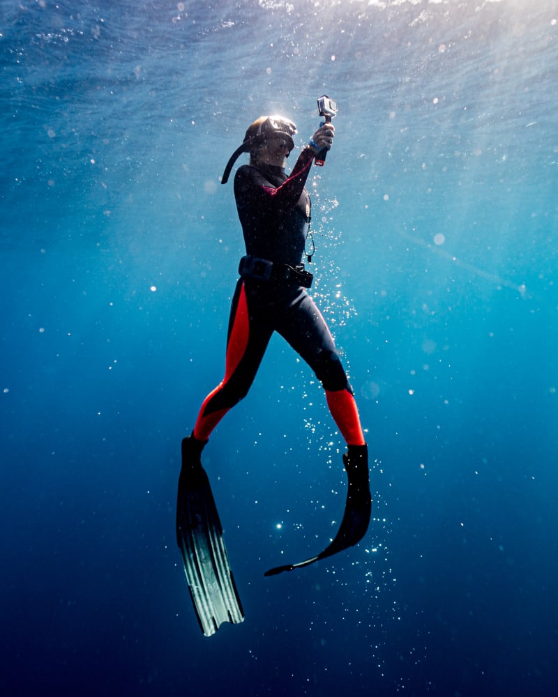 Underwater photography KwaZulu-Natal South Africa — Kevin Rom