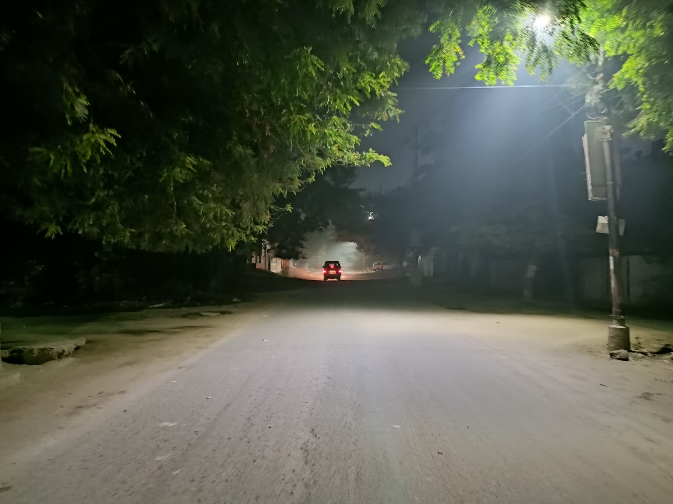 Night walk on 4th December 2022