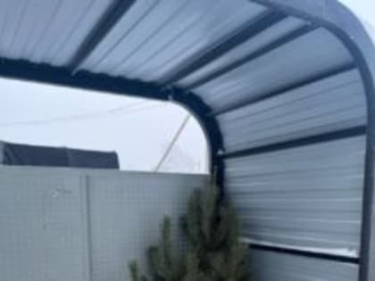 Как правильно утилизировать живую ёлку после новогодних праздников