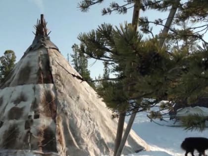 Погода в Салехарде: пятница 29 марта на Ямале будет солнечной и снежной