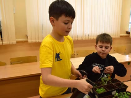 Юные садоводы осваивают гарденотерапию в центре «Ювента»