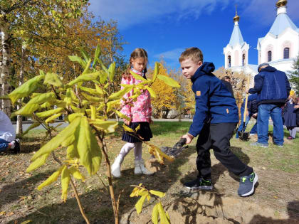 Сохраним природу вместе