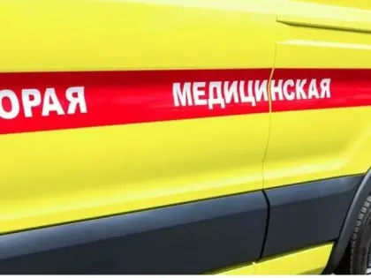 Хозяин приюта хаски в Шебекино получил тяжелые ранения во время обстрела
