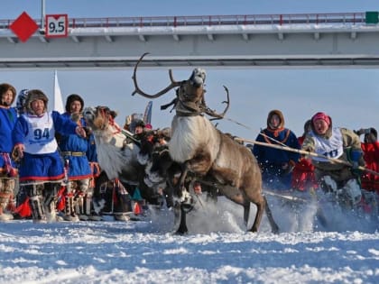 Губкинские единороссы присоединились к празднованию Дня оленевода, проходившего в Тарко-Сале