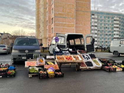 В Новом Уренгое власти выявили более 800 административных правонарушений с начала года