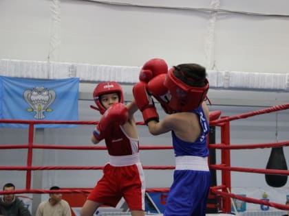 В Новом Уренгое единороссы организовали для детей соревнования по боксу и киокусинкаю