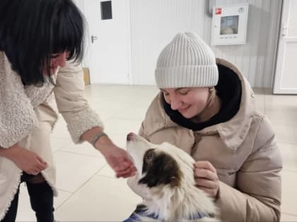 «Защита животного мира»: Новоуренгойские единороссы навестили питомцев центра помощи для бездомных животных «ГОРОДОГ»