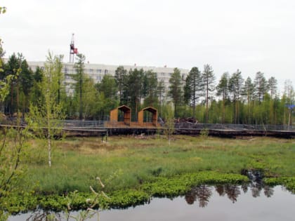 В сквере Губкинского сделают «парящие» дорожки и облагородят водоем