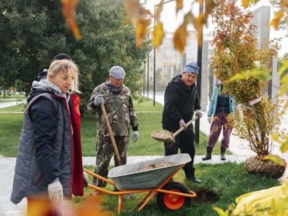 Клены, черемуха, яблоки, сирень: в Ноябрьске высадили больше пяти тысяч деревьев