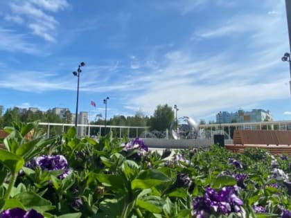 Сегодня в Ноябрьске на городских клумбах появится четыре тысячи цветов