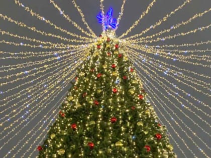 Главная городская елка Ноябрьска засияет новогодними огнями