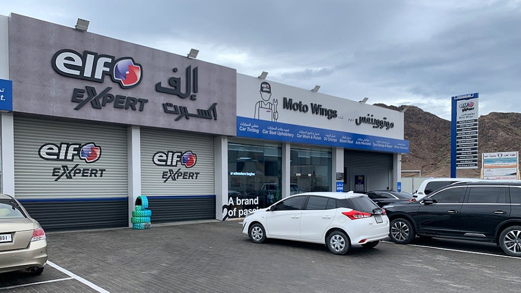 Elf Expert Premium - Motowings